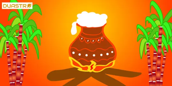 Pongal Harvesting Abundance and Gratitude in Hindu Astrology